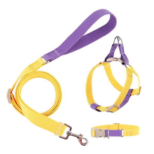 Training Walking Easy Escape Proof Quick Fit No Pull Small Dog Harness and Leash Set