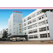 Xiamen Yangli Garment Co., Ltd. Women's Knickers