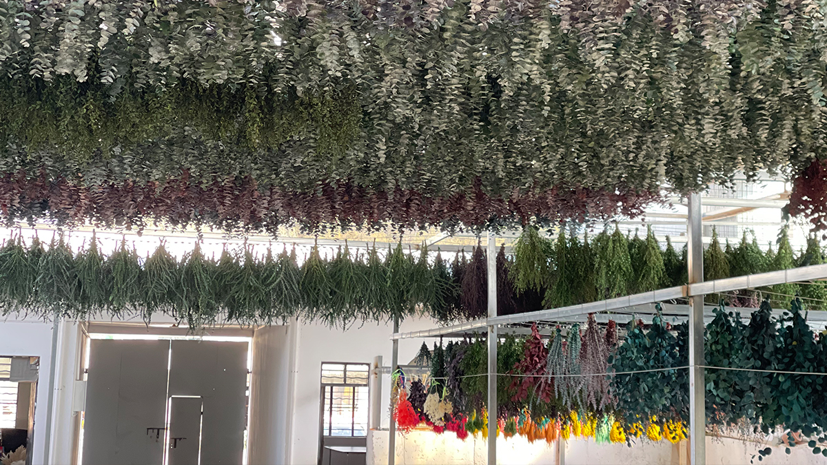 Yunnan Hongyan Flower Technology Co., Ltd. Dried Flower Petals