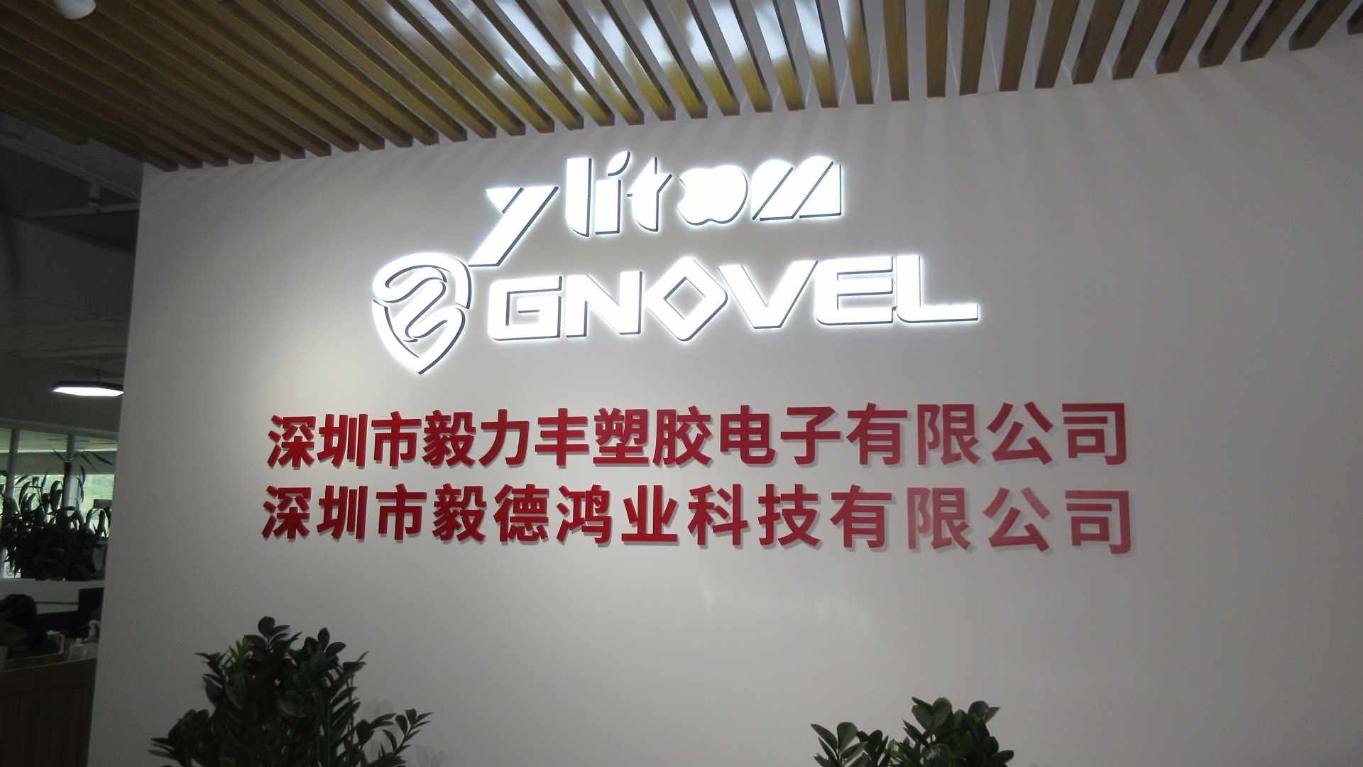 Shenzhen Yilifeng Plastic & Electronic Co., Ltd. Wall chargers