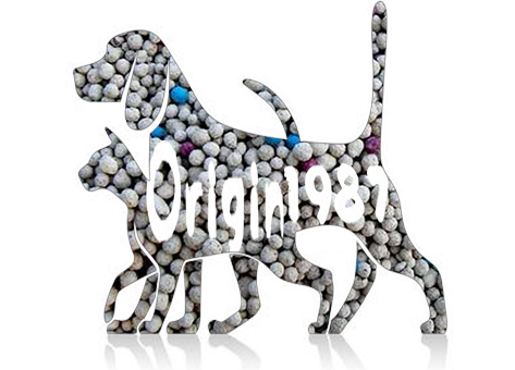 Shenyang Pawprinter International Trading Co., Ltd. logo