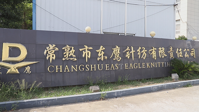 Changshu Hongtong Textile Co., Ltd. Textile Fabric