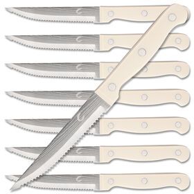 Wholesale steak knife set for home use