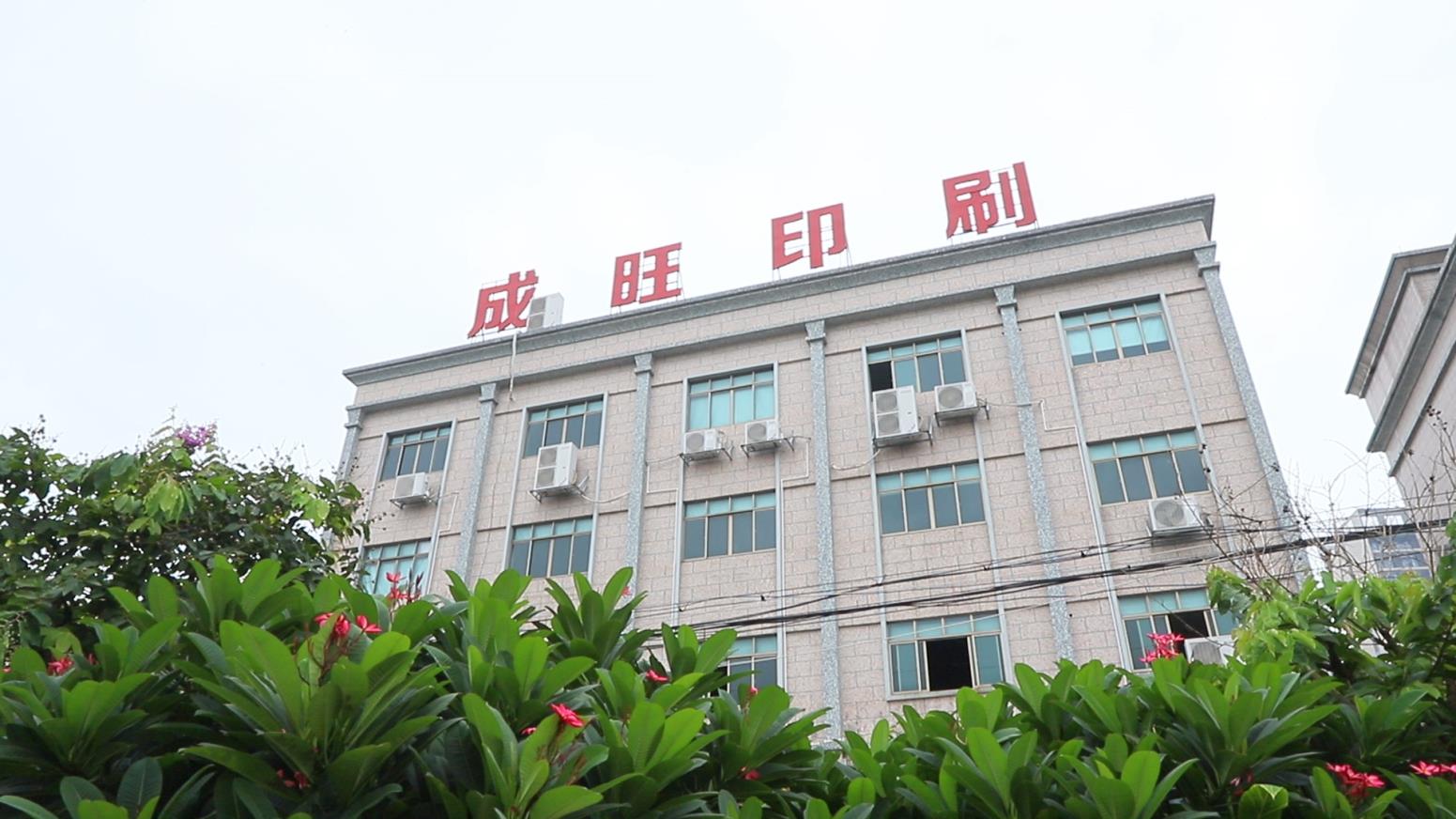 Dongguan Chengwang Printing And Packaging Co., Ltd. Paper Tote Bags