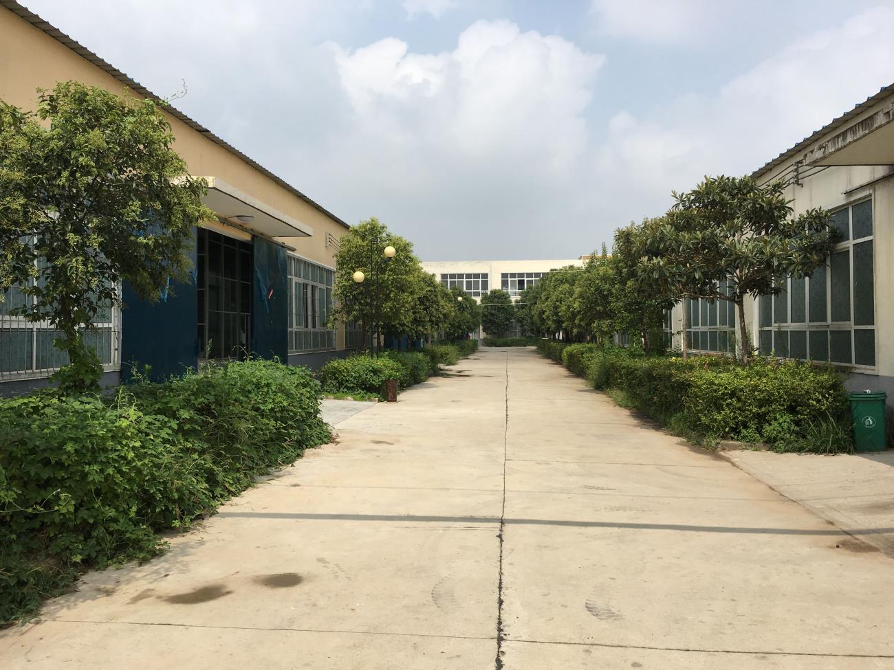 Foshan Loks Hair Limited wigs
