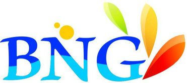 BNG Electrical Appliance Mfg. Co., Ltd. logo