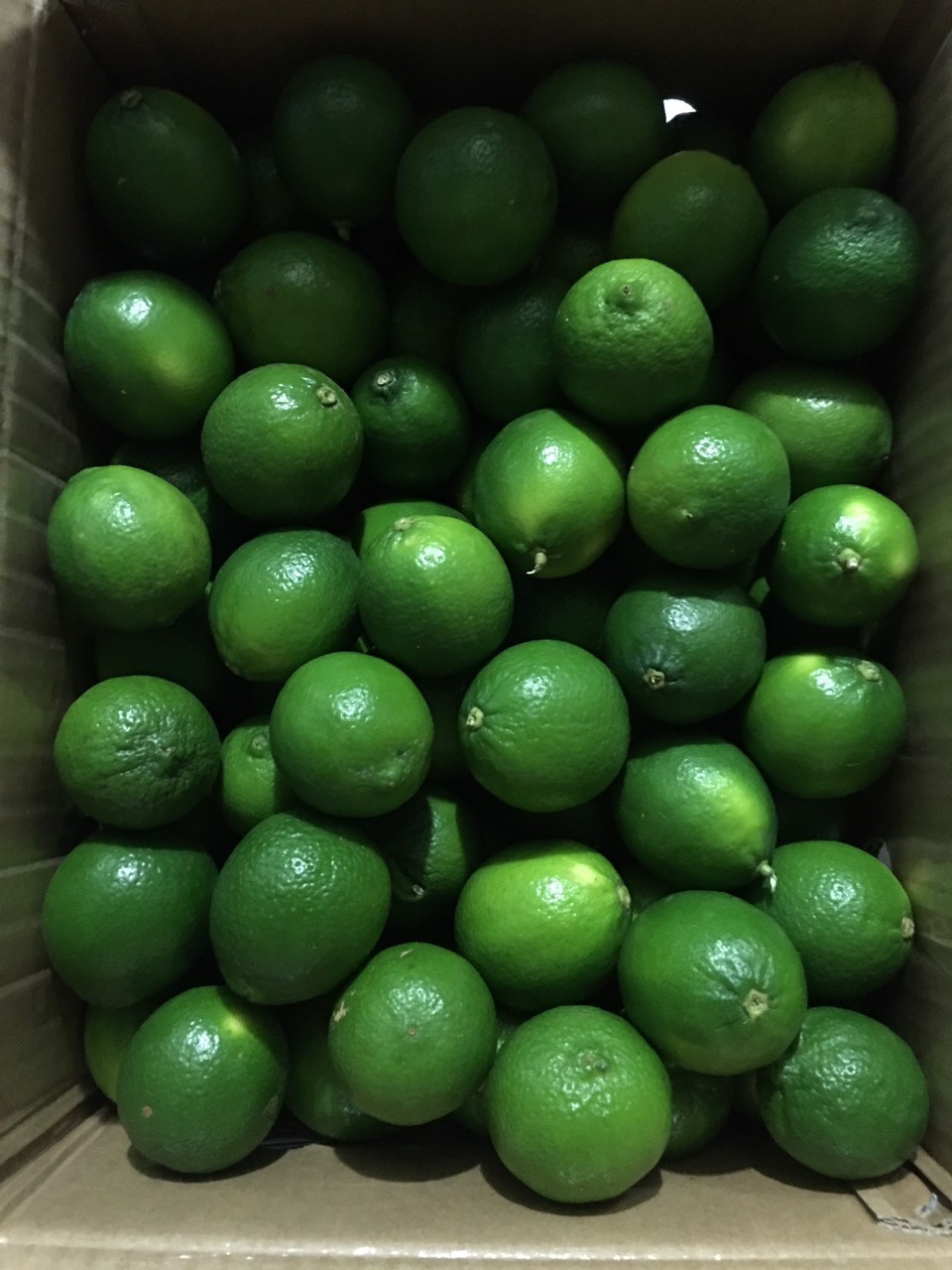Wholesale 100% Natural Maturity Seedless Green Seedless Lemons Fresh Sweet Lime Sourced from Hoang Kim Viet Nam