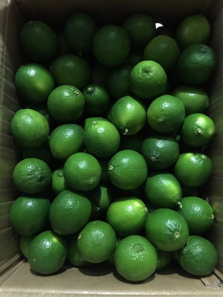 Wholesale 100% Natural Maturity Seedless Green Seedless Lemons Fresh Sweet Lime Sourced from Hoang Kim Viet Nam
