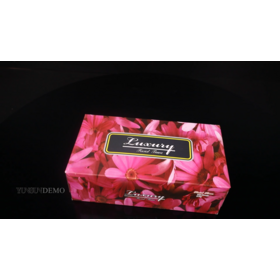 Hot Sale 150 sheets Box Facial Tissue sterilized facial tissue  personalized tissue paper in Canada