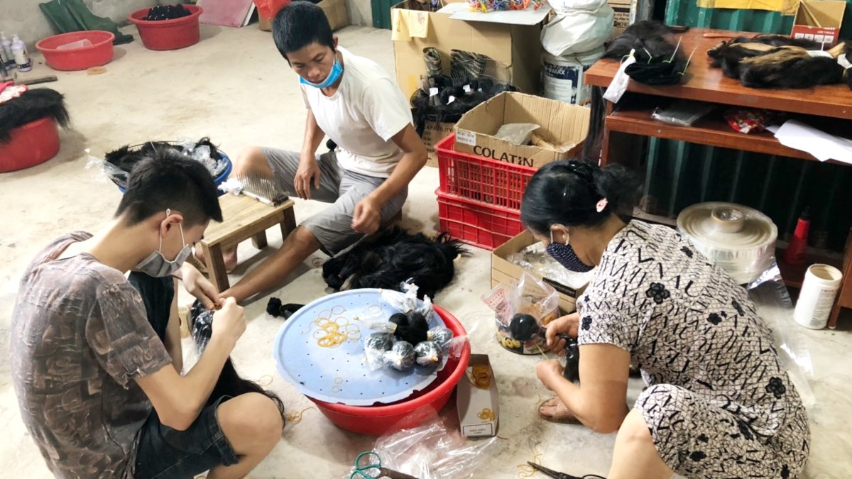 Duc Manh Investment Development Import - Export Co., Ltd. Vietnamese Raw Hair