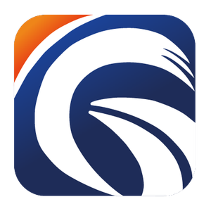 Company icon