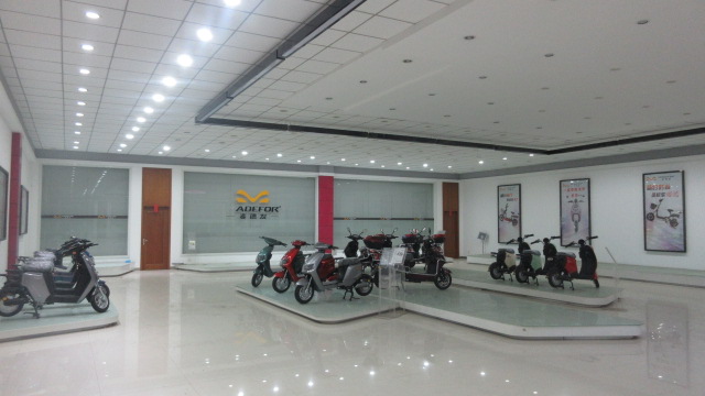 Jiangsu Xindalu Bicycle Co., Ltd. Electric Motorcycle