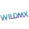 Company icon