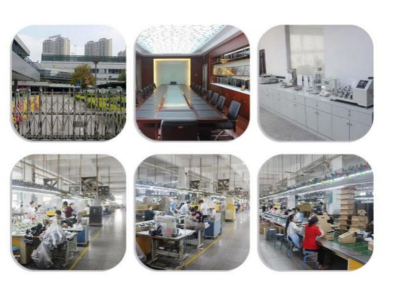 Xiamen Supu Culture and Art Communication Co., Ltd. casual shoes