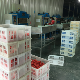 Dongyang Ruibang Sports Goods Co., Ltd. Racquetball