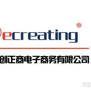 Company icon