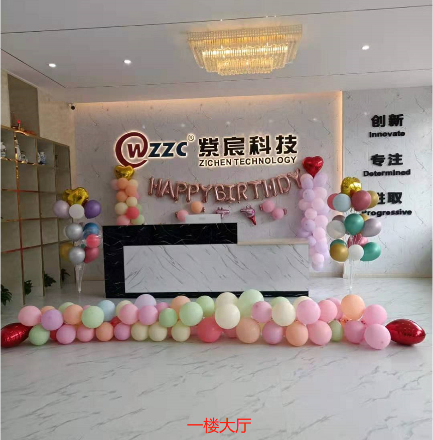 Zhejiang Zichen Technology Co., Ltd. Electronic Connectors