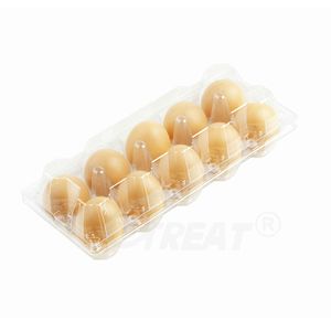 Hot Sale Disposable Biodegradable Packaging Tray Plastic Punnets Disposable Clamshell Plastic Container Plastic Egg Box 10