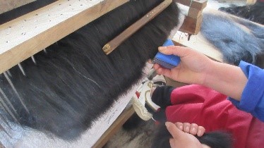 Guangzhou Aosun Hair Products Co., Ltd. Human Hair Weave Bundles