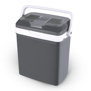 Portable 21L DC/AC Cooler ,Mini Cooler,Refrigerator for Home, Mini Air Cooler for Truck, Van ,RV,SUV ,Boat