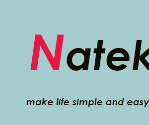 Company icon