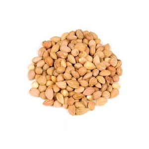 Hot Sale Natural Single Spices and Organic Mahaleb from Spices Group in Turkey