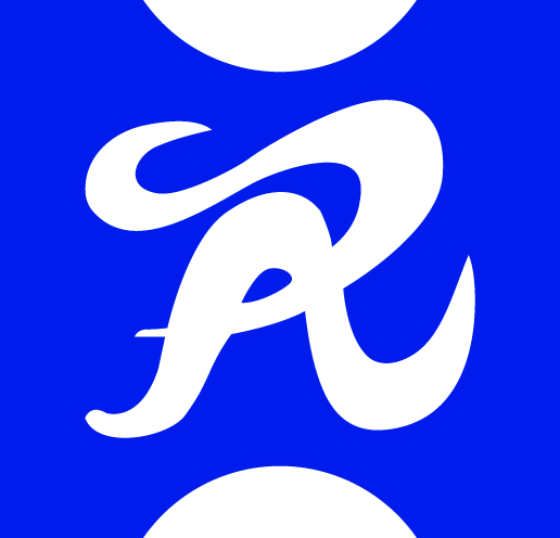 Henan Rebecca Hair Products Co., Ltd. logo