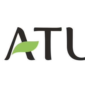 Company icon