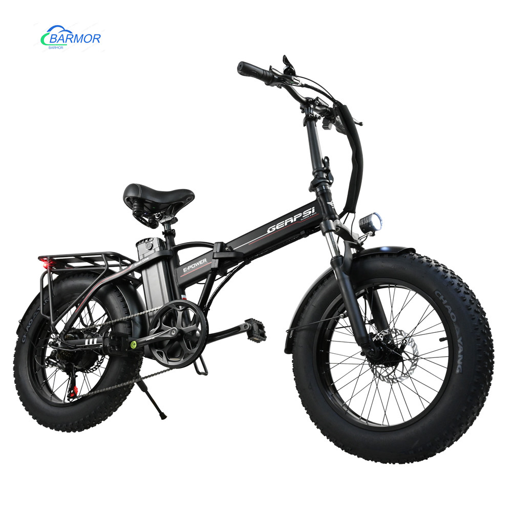 Shenzhen Black Armor Technology Co., Limited Hot Sale 48V Battery Electric Bike 750W Rear Hub Motor Aluminum Alloy Frame New Design Road Bike Cheap Fat Tire Electric Bike