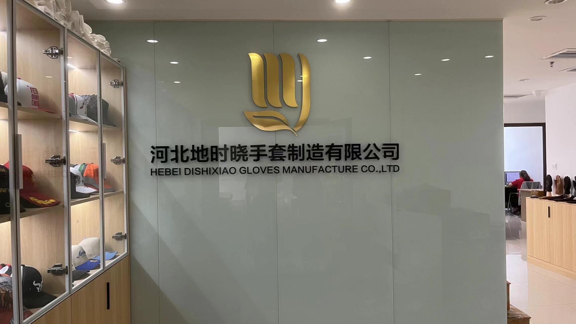 Hebei Dishixiao Gloves Manufacture Co., Ltd. Safety Gloves