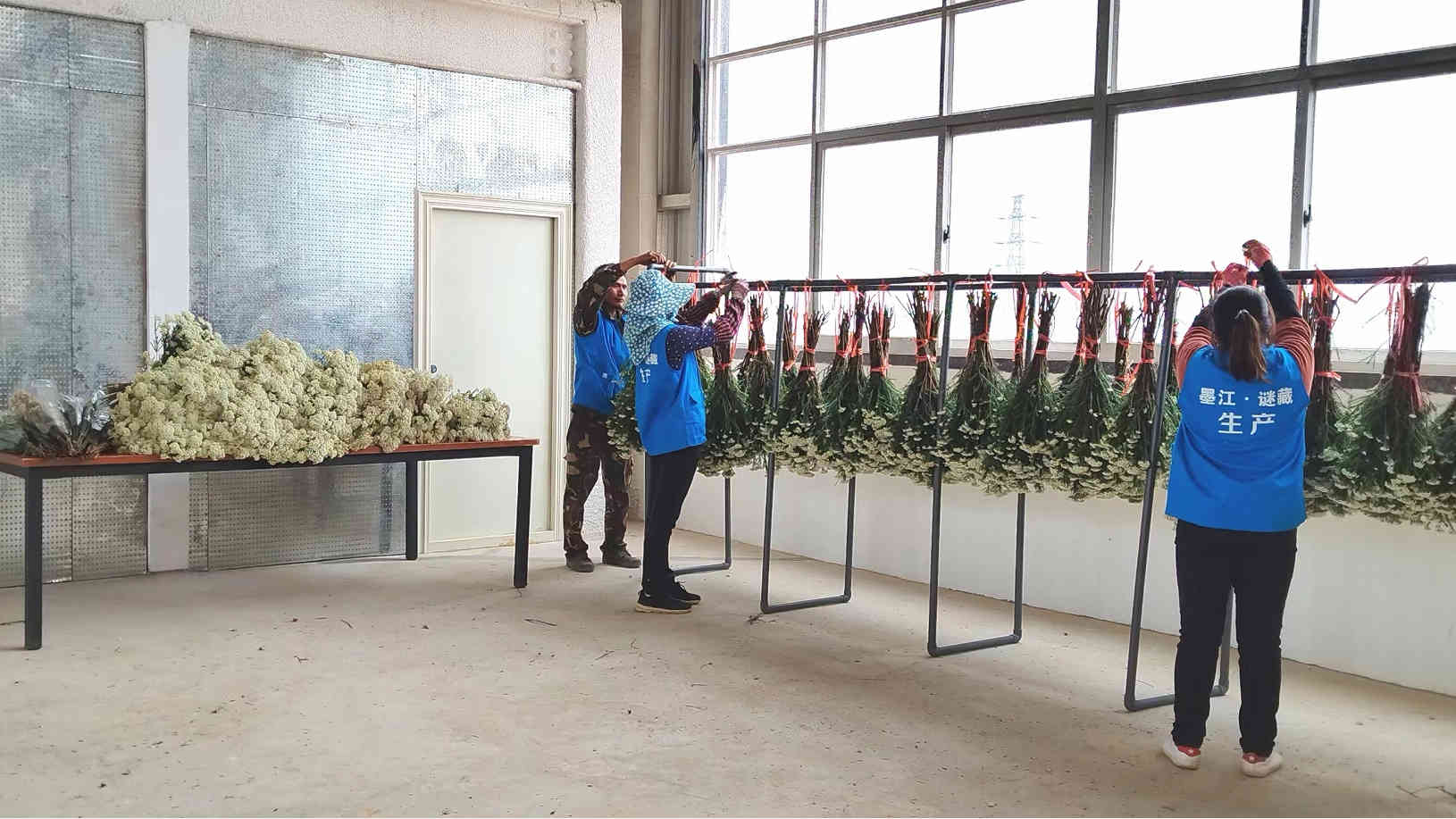 Mojiang Micang Technology Co., Ltd. Preserved Rose