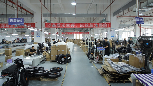 Shenzhen Qingmai Bicycle Co., Ltd. Electric Bicycle