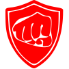 Company icon