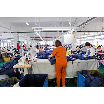 Yunting Textile Company Limited sports shorts
