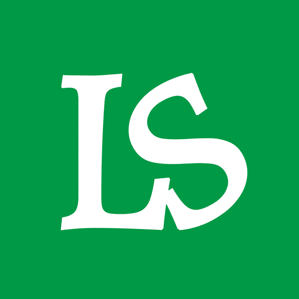 Handan Lingsheng Hairdressing Products Co., Ltd. logo