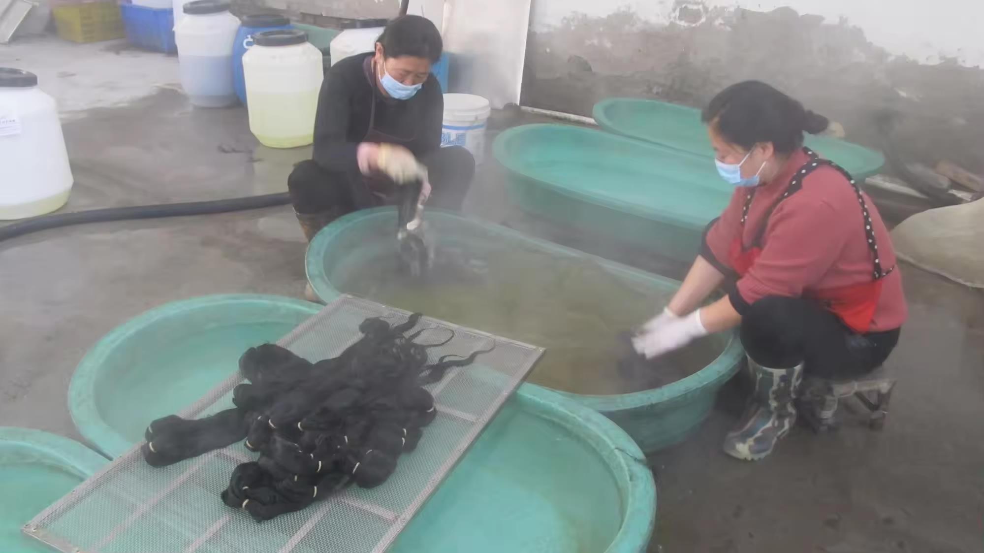Xuchang SV Industrial Co., Ltd. Human Hair Extensions