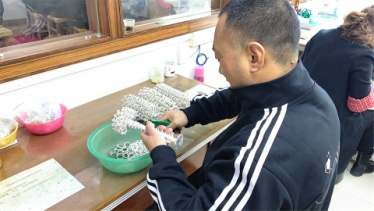 Foshan Dylam Trade Co., Ltd. 925 Sterling Silver Jewelry