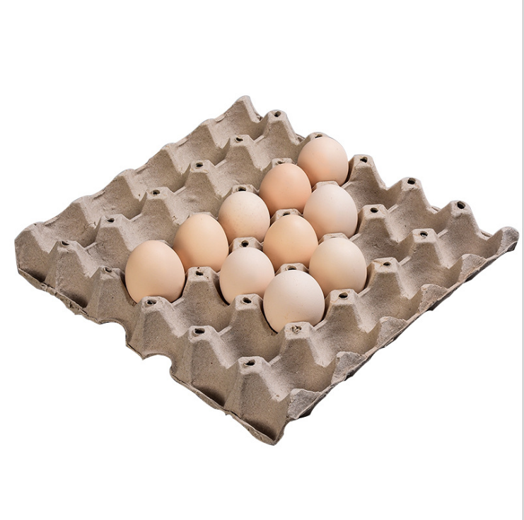 Pulp molding environmental protection can be customized bagasse egg tray