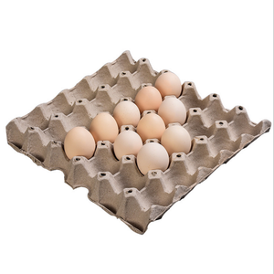 Pulp molding environmental protection can be customized bagasse egg tray