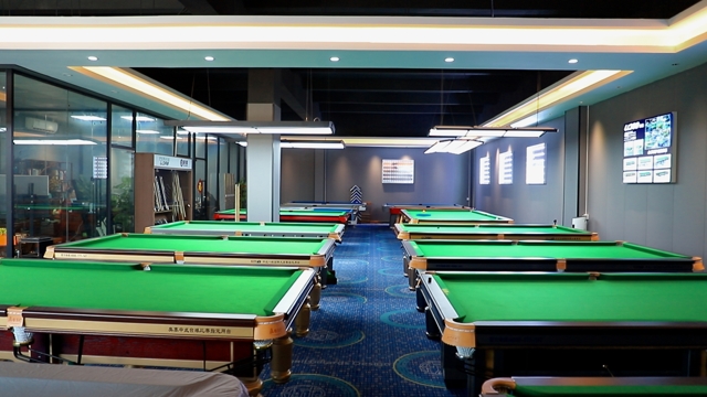 Foshan Nanhai Yiqin Sports Goods Co., Ltd. Billiard Tables