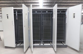 Dezhou Zhenghang Import & Export Co., Ltd. egg incubator