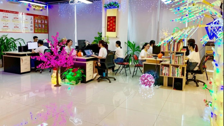 Shenzhen Toprex Festival Decoration Co., Ltd. LED string lights