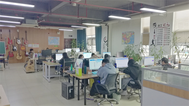 Changsha Bullfighter Musical Instrument Co., Ltd. factory image 5
