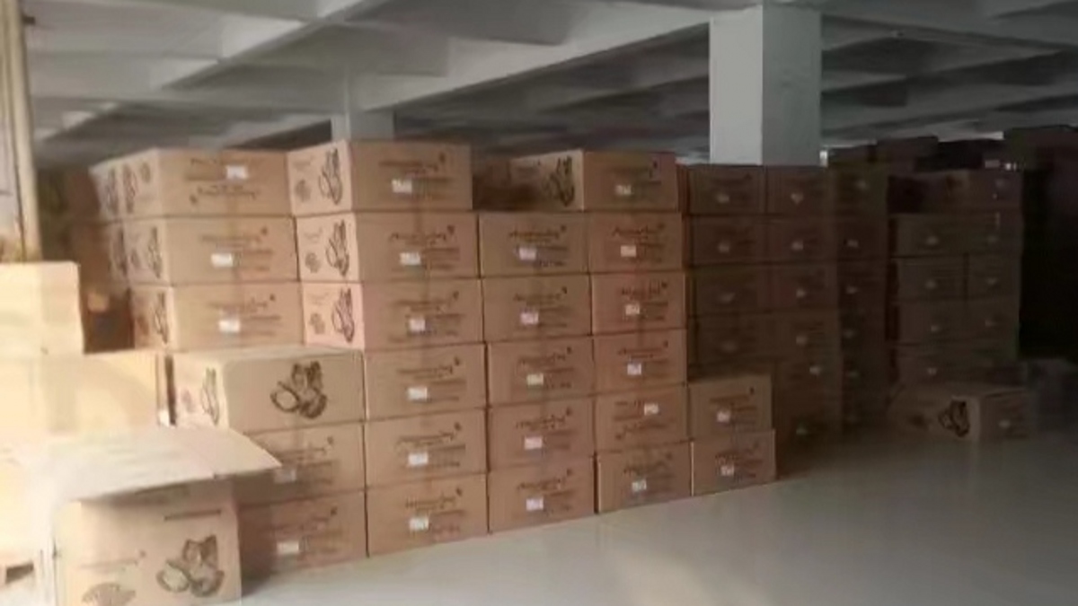 Suyue Sports Technology (Jinjiang) Co., Ltd. Bounce Boots