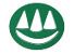 Company icon