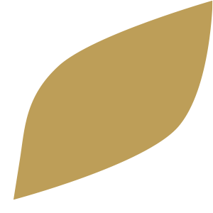 Company icon