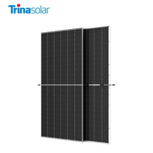 Trina Solar Panels Tsm-neg19rc.20 Vertex Bifacial N-type Photovoltaic Panel N Type 585W 590W 600W 610W Solar Module