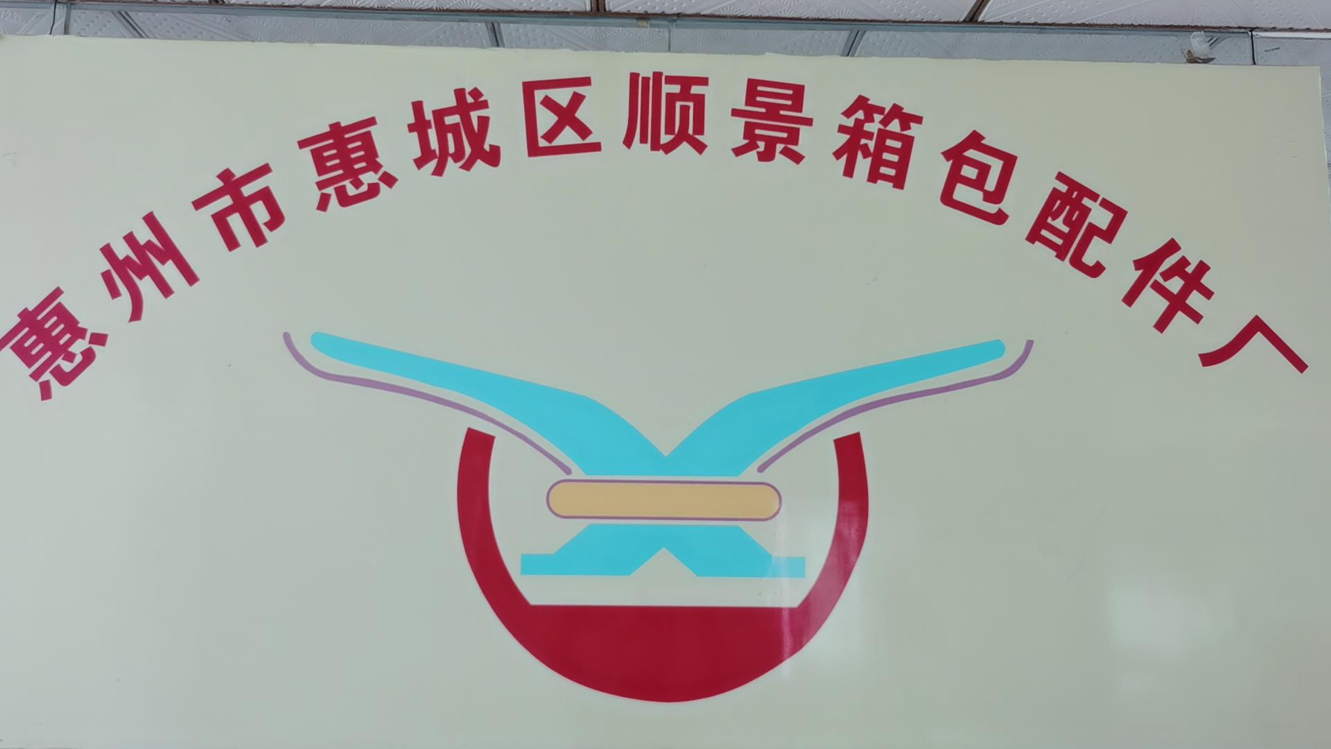 Huizhou City Huicheng Shunjing Bag Fittings Factory PP Trolley Luggage