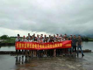 Dongguan Lanshuo Hardware & Electronics Co., Ltd. factory image 1