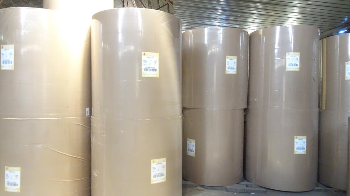 Hebei Wenfukeda Paper Product Co., Ltd. factory image 1